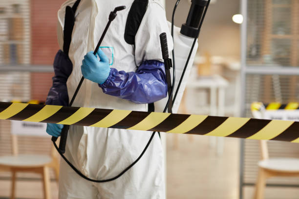 Professional Sewage Cleanup technician working in Medina, TX